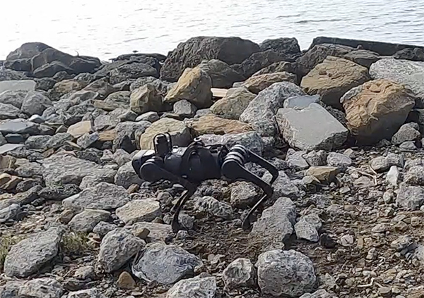  A small 4-legged robot walks along a rocky coastline.